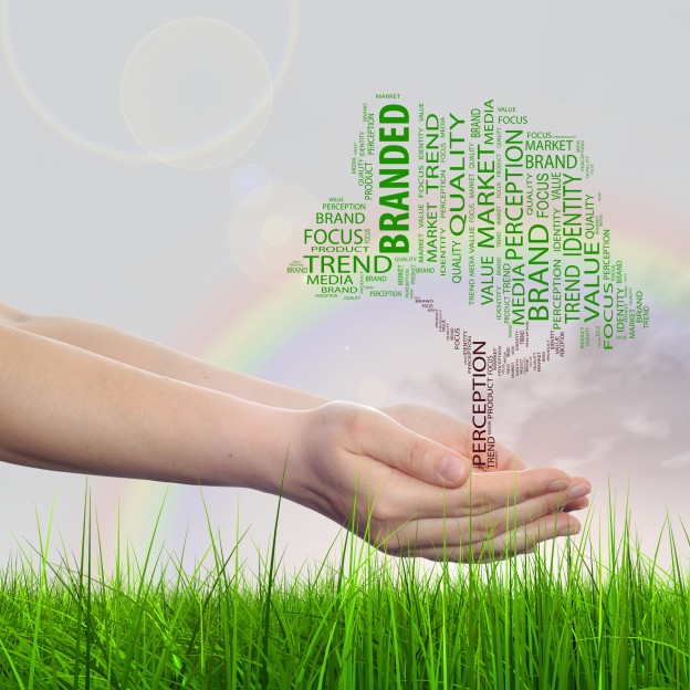 מיתוג אסטרטגי